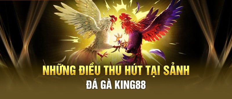 Làm thế nào để chơi game đá gà online mới nhất tại nhà cái King88?